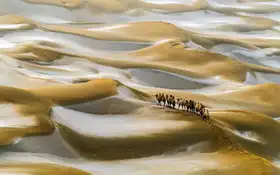 Zhu, Hua: Desert Winter