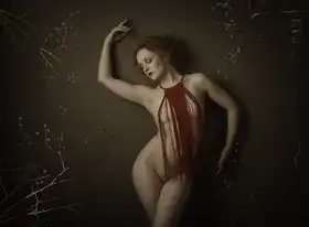 Studio, Catchlight: Autumn Reds