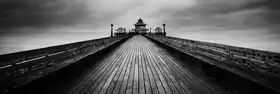 Alexandru, Catalin: Clevedon Pier