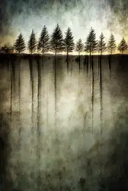 Gerber, Charlaine: Dark water stands over me