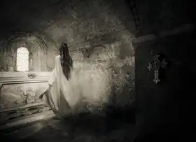 Gerber, Charlaine: But he said, go back, go back to the world