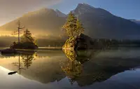 keller: Golden Morning