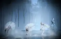 Berg, van Peet: Signets Swan Song