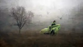 Gerber, Charlaine: If you go away