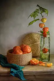 Disher, Mandy: Still life with Clementines