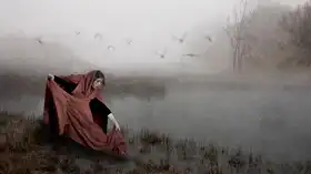 Gerber, Charlaine: In the Mist