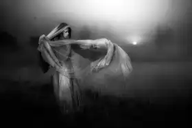 Gerber, Charlaine: Shadows of her  mind