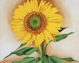 Keeffe, Georgia: Sunflowers