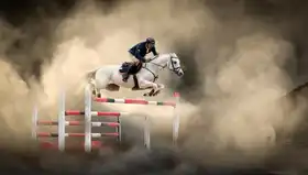 Ünsal, Arif: White horse