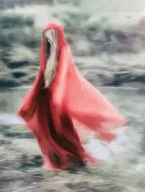 Gerber, Charlaine: What a dream I had, pressed in organdy....