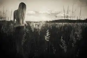 Gerber, Charlaine: ..let your fingertips rest at her command...