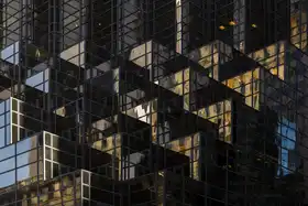 Wride, Linda: The dark tower