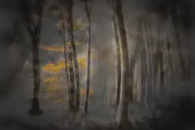 Romaggi, Michel: Last lights II