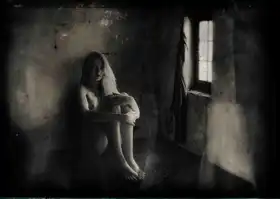 Gerber, Charlaine: But the tigers come at night, with their voices soft as thunder..