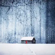 Hamiti, Bess: Winter