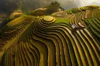 Phat, Tan Dao: mu cang chai - vietnam