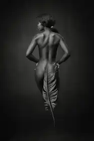 Studio, Catchlight: Ebony Feather