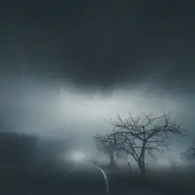 Fraccaroli, Andrea: Alone