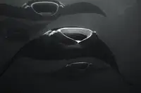 Bonfield, Chris: Palau Manta Train