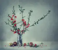 Dim, - Dimitar: Still life with a Japanese quince