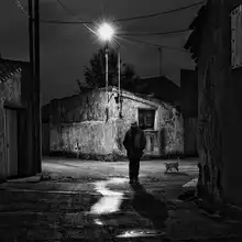 Lobato, C. Jose: Loneliness