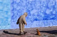 Cavalli, Giovanni: A man talking with a cat