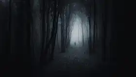 PhotoCosma: The Dark Path