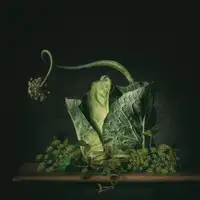 Velzen, van Monique: A green fairytale