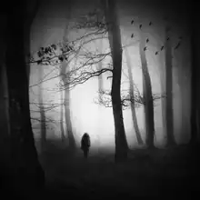 Kompas, Stanislav: Between the light and the dark