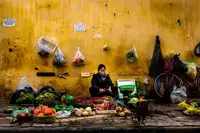 Tapshanov, Dragan: Hanoi street market