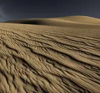 Darby, Rob: Rivulets of Sand