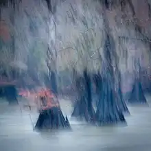 Wang, Keren: In the rain with strong wind
