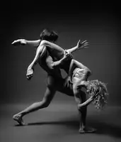 Stanko, Andrey: Art Of Movement Series