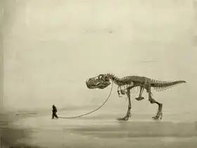 Hummel, Jeffrey: the walk