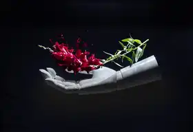 Susa, Dan-Stefan: The Physiology of Touch / Flora 2