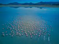 musakeskin: Yarışlı lake