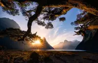 Zhu, Jingshu: Sunny Day in Milford Sound
