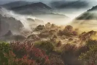 saswinanto, andrew charles: mysticall autumn morning (secret garden)