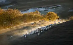 xuzhou: 暮归