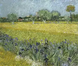 Gogh, Vincent van: Fields and irises in Arles