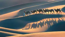 Liu, Richard: Rhythm