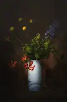 Dingemans, Saskia: Flower Bomb
