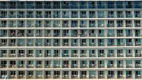 Baumann, Franz: The Lonely Crowd