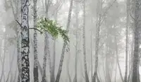 Romanchuk, Sergey: Non-flying weather