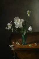 Petina, Anna: White petals