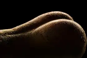 Carvalho, Jackson: Erotic Nature #3 - Sexy Pear