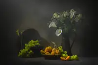 Jacobs, Lydia: Summer Fruit