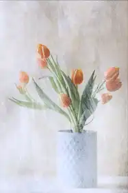 Devos, Delphine: A bunch of tulips