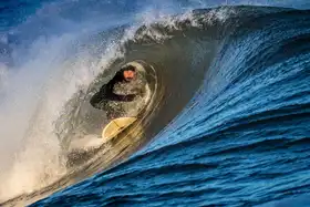 Wang, David: Surfing at New Jersey Beach
