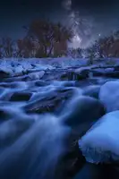 Xu, Mei: Frozen Autumn